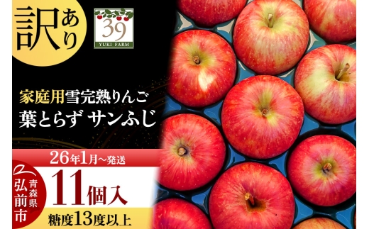 yXOOszy26N1`z y ʌ z󂠂 ኮn ƒp x13xȏ t炸 Tӂ 11