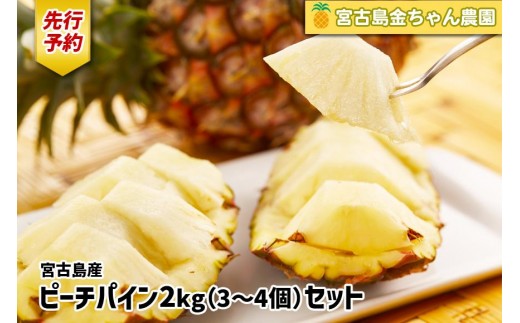 yꌧ{Ószss\ty2026Nz{ÓYs[`pC 2kgi3`4jZbgs_tiAK107j