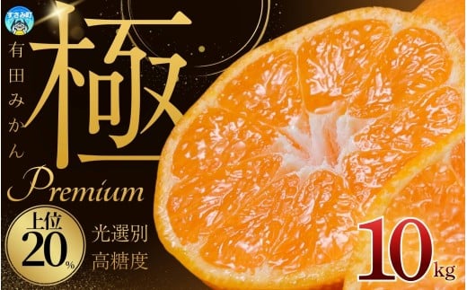 ya̎Rݒz_ZT[Iʁ^ Lc݂v~A 10kgyI肷̏20͂z2S`LTCY L@엿100% 2025N11{`2026N1{ɏ\ k