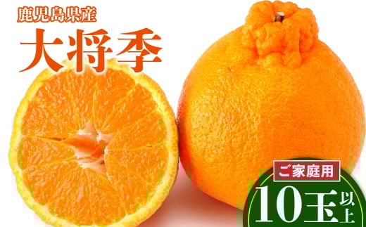 y蒬zVܐʓX̂ƒp@叫G@10ʈȏ