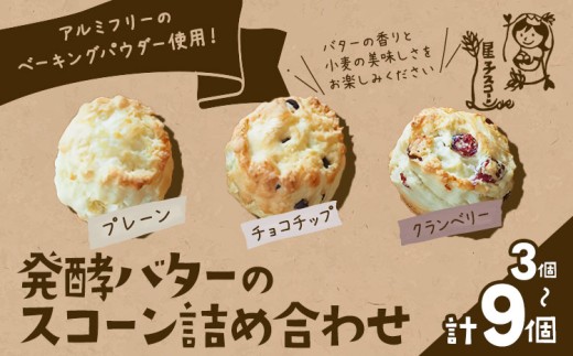 ytRszqXR[ s񂪂ł XR[ lߍ킹 3 Iׂe 3 6 9 v[ `R`bv Nx[ s30ȓɏoח\(yj)t qXR[ t