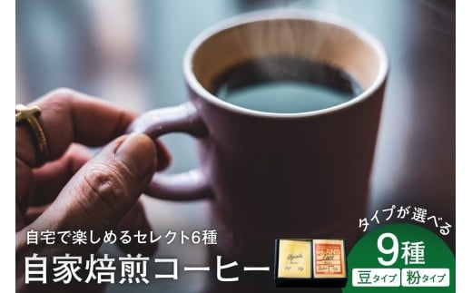 yR`đszŊy߂ ZNg 9  R[q[ 9 ( 1 30g ) y^Cvz ܂ y^Cvz  JtFO[g