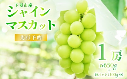 y錧Ȏszy 2026N s\ zVC}XJbg 1[ 650g { pbN ( 100g j y ΍Ԃǂ z i 2026N8{9{\ jy t[c ʕ Ԃǂ uhE 