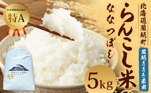 ykCzzߘa7NY 񂱂 iȂȂڂj 5s iz_j y2025N11{Jnz