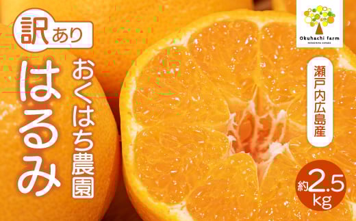 yLOszy͂_zq󂠂r͂ 2.5kg s2026N2`3\t ͔|Ԓ h bNX sgp { k 񂫂 t[c ʕ ˓ 166007