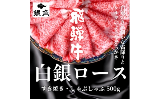 y򕌌֔Vzˋ⃍[XĂEԂԗp500gy1681890z