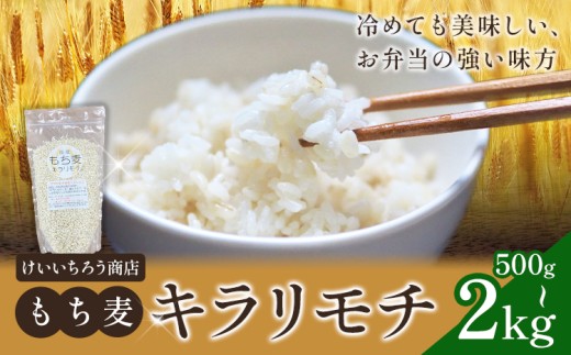 y錧sz ߘa7NY L` 500g 2kg sY 낤X s30ȓɏoח\(yjjt錧 s    R   ٓ