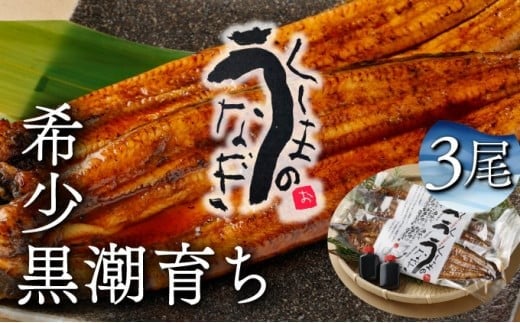 y{茧ԎszKU469-3 ܂̍ȂĂRiv600gOjycXz