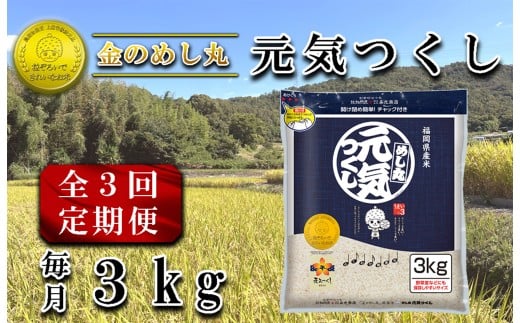 ysszCE-109_yւRzߘaVNā@̂߂یC RKgi1܁j×R