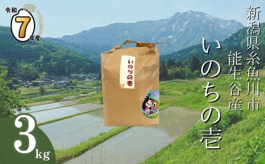 yVszy2025N11zߘa7NY V\JYŵ̈x3kgiājIc _ƒ 2025NY JATsLЁyV s    R  CX ӂ邳Ɣ[