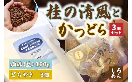 y錧闢zƂǂ3Zbgyj̐()/z(AF091)