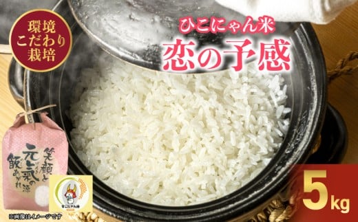 yꌧFszߘa7NY ͔| ̗\ 5kg Ђɂ      ͂  ɂ ٓ ƒp ̂悩 Jt@[  F