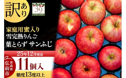 yXOOszy25N12z y ʌ z󂠂 ኮn ƒp  x13xȏ t炸 Tӂ 11