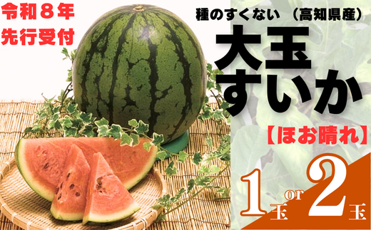 ymޔz103002 R_̃XCJ Qʁystz 킪Ȃ Iׂ P Q  t[c Yn n x s[^[ Â  Z /m ޔ