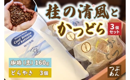 y錧闢zƂǂ3Zbgyj̐()/Ԃz(AF090)