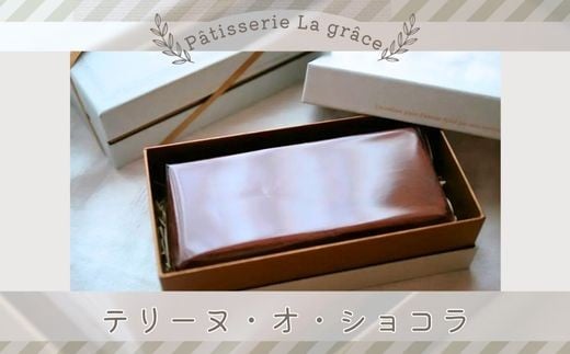 ytlXsze[kEIEVR@-Terrine au chocolat- / peBX[  O[X / XC[c P[L t Yi