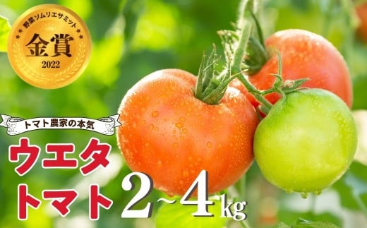 ymcszss\t ZIEG^g}g̃g}g Iׂ 2kgE4kg ^ Ƃ܂ ~g}g  I m Yn cs  ~G  ʃg}g ]