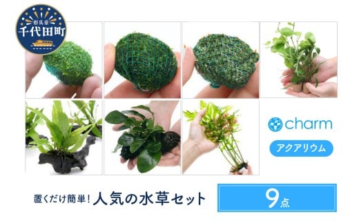 yQncz uȒP lC̐ X_Zbg t  Qn c CeA i` R N[[V ͔| v[g    lC IXX