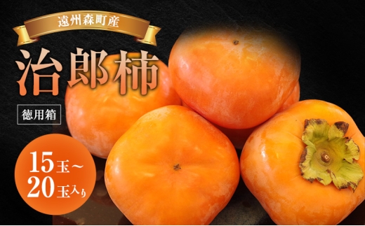 yÉXzBXYY` 15ʁ`20(4.7kg) p `  ʕ t[c Ê` c Y` uh 炩 i RN Ê`̉l X É