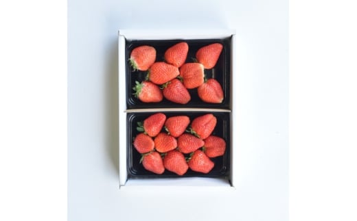 yRRszŒցRsY@{̃t[c֑S4y4074306z