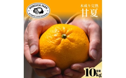 yQlszؐ芮nÉ 10kg wق̂ȋꖡƃXbLÂ݁xE70-27y1470661z