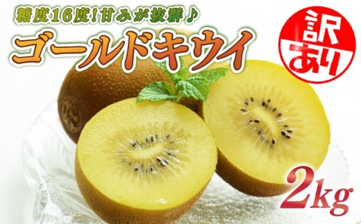 yÉqVsz󂠂 LEC 2kg t[c ʕ XC[c S[h LEC  S[h LEC S[h Vi S[hLEC LECt[c 󂠂LEC ʏ` ʎ Yn