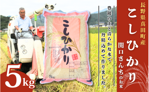 y쌧csz ߘa7N ֌񂿂̂ RVqJ 5kg   R V    Ђ  MB [5312-0933]