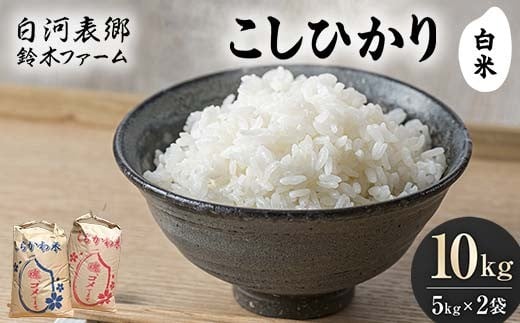 y͎szߘa7NY ͕\ RVqJ  10kg  R ͂  Hi F24R-198