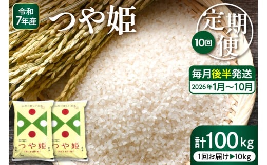 yR`szy2026N1X^[gz ʍ͔|ĂP10kg×10( 㔼)ցy[Xzhi053-035