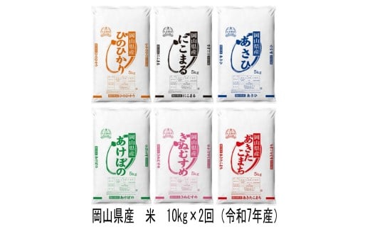 yRaCzTF-1@yցzRY@ā@qmqJEɂ܂EEAP{mEʂނ߁E܂iߘa7NYj10kg×2