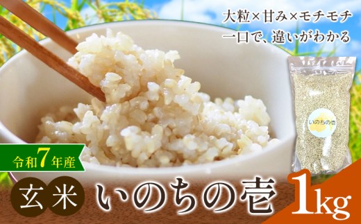 y錧sz ߘa7NY ̂̈ 1kg sY 낤X s30ȓɏoח\(yjjt錧 s    R  嗱 ٓ ɂ