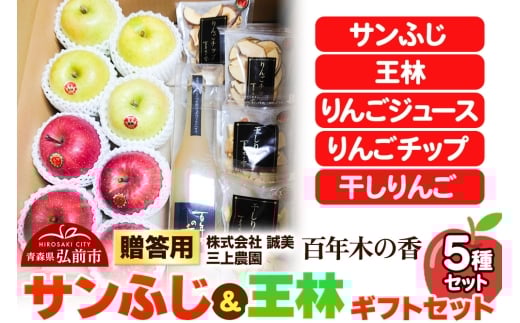 yXOOszy25N12`z p SN؂̍ O_ Tӂ  MtgZbgystz X ʕ t[c ь S  \