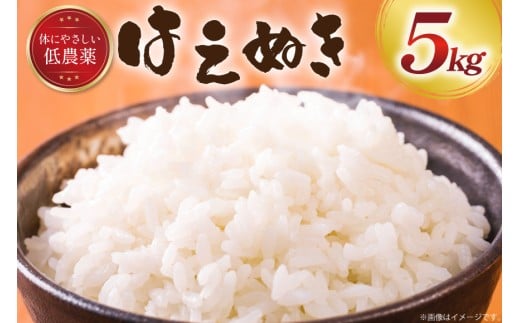 yR`z ߘa6NY ͂ʂ  5kg [y~X R`  tk06ayt290006]  R  ͂  uh