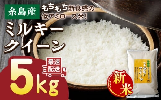 yszyāzyĕ@IׂIzyߘa7NYVāz~L[NC[ 5kg i 1 j st yāEĐX V@YXz [ADE001-5]