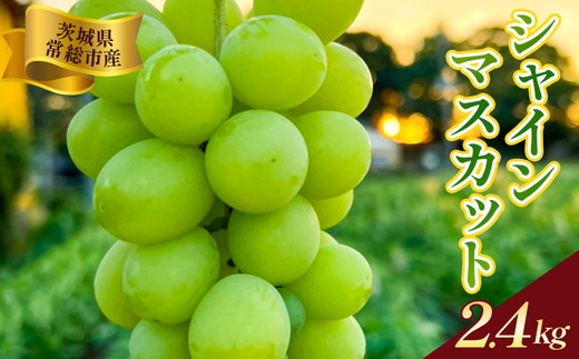 y錧푍sz錧푍sY VC}XJbg 2.4kgbԂǂ uhE  ʕ t[c 蕨 2026N8{`9{ɏ\