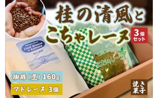 y錧闢zƂ჌[k3Zbgyj̐()z(AF092)