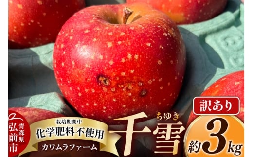 yXOOsz   3kg Jt@[ 󂠂 X ʕ t[c ь S 