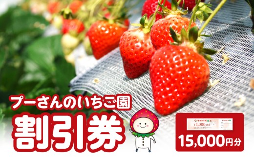 プーさんのいちご園 割引券（15,000円分）【レターパック】 イチゴ狩り