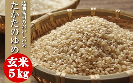 y茧OcszyPiz Vā ߘa7NY  5kg i ̂ y   CX Ocs IWi uh ߂Ă ٓ ɂ Mtg Ocn