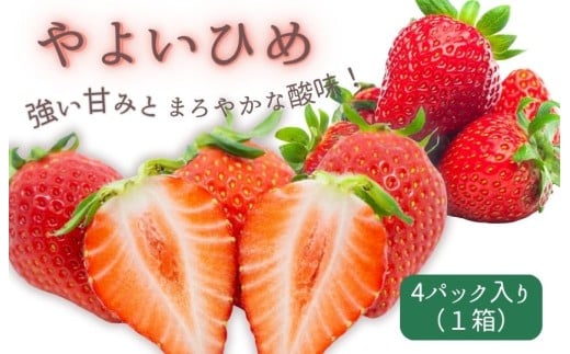 y錧gcszÂ݂Ƃ܂₩Ȏ_I@悢Ђ߁@4pbN1