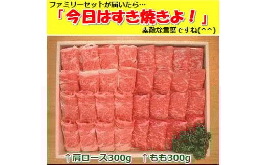 yꌧΊ_szΊ_EĂt@~[Zbg300g×2 v600g +[X Ⓚ | ꌧ Ί_s   ₫ XLL   SI-085