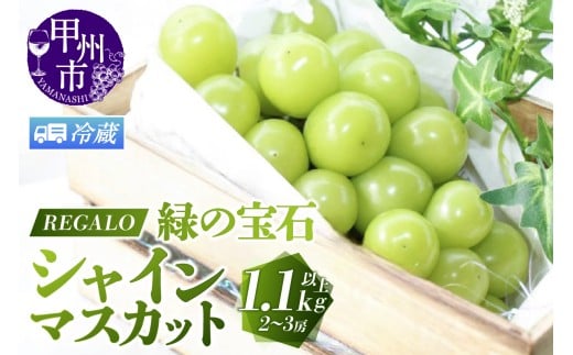 yRbBszy①ցzjK `΂̕΁EVC}XJbg` 1.1kgȏ 2`3[y2026NziRGjB-846CO yVC}XJbg  Ԃǂ uhE ߘa8N Ԍ R