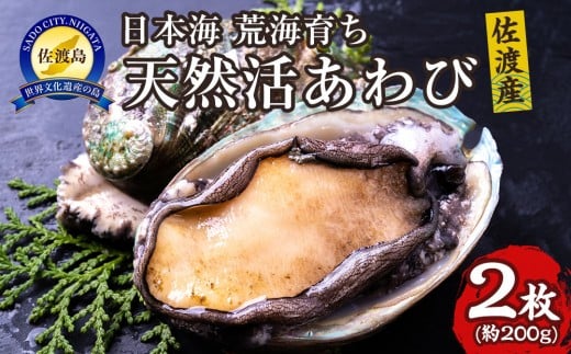 yVnsz{C@nY@rC炿VR2i200gj