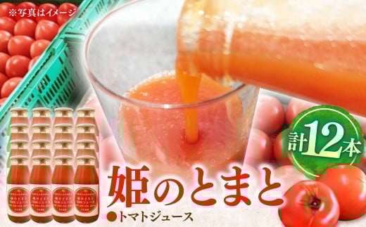 y򕌌szP100ng}gW[X 180ml×12{ s / ⌴_ g}g Ƃ܂ g}gW[X Hsgp Y [TFP004]