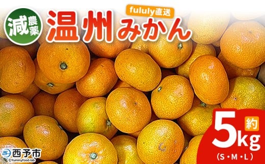 yQ\szfululy _򉷏B݂ 5kg TCY ʕ t[c  B~J 񂵂イ݂ EVE~J _ ƒp k fululy  Q \s