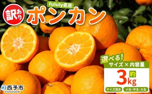 yQ\szfululy |J 󂠂 3kg Iׂ PA TCY    ʕ t[c  ۂ񂩂 k ƒp fululy  Q \sy퉷zw2026