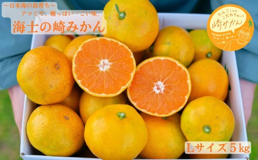 yCmzyԌzn݂̍ LTCY 5kg  40 Ԍ 11{蔭Jn