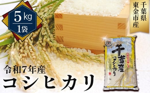 ytszNo.342 ߘa7NY RVqJ5kgitsYj ^   Ђ   S Ö ٓ H s t