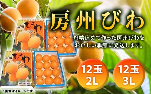 yt쒬zy2026Nxs\z [Bт 24ʁi3LTCY12ʂ2LTCY12ʁj ^ r f  Yn t Y t[c ʕ т F22X-007