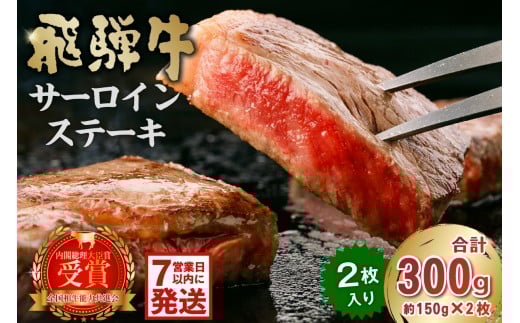 y򕌌szˋT[CXe[L300gyˋ 򕌌 s  ~ uh Lv AEghA 蕨 Mtg  Ⓚ Y A4 A5 Xe[L T[C O Cx